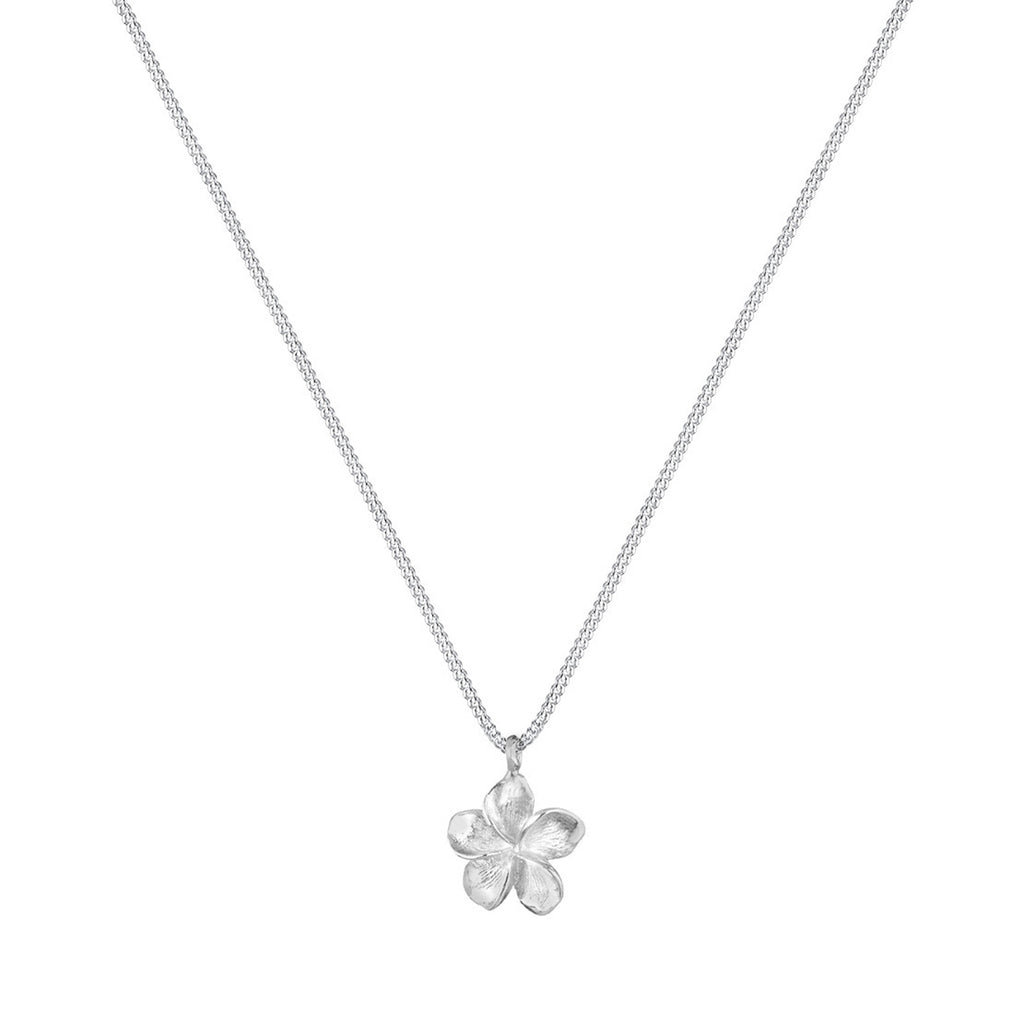 Silver Perhiasan Wanita Perak Asli - Silver Kalung  Flower Frangipani