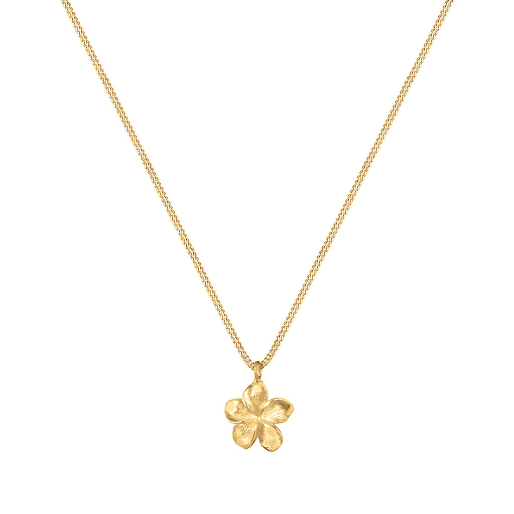 Gold Perhiasan Wanita Perak Asli - Silver Kalung  Frangipani Flower Basic Lapis Emas