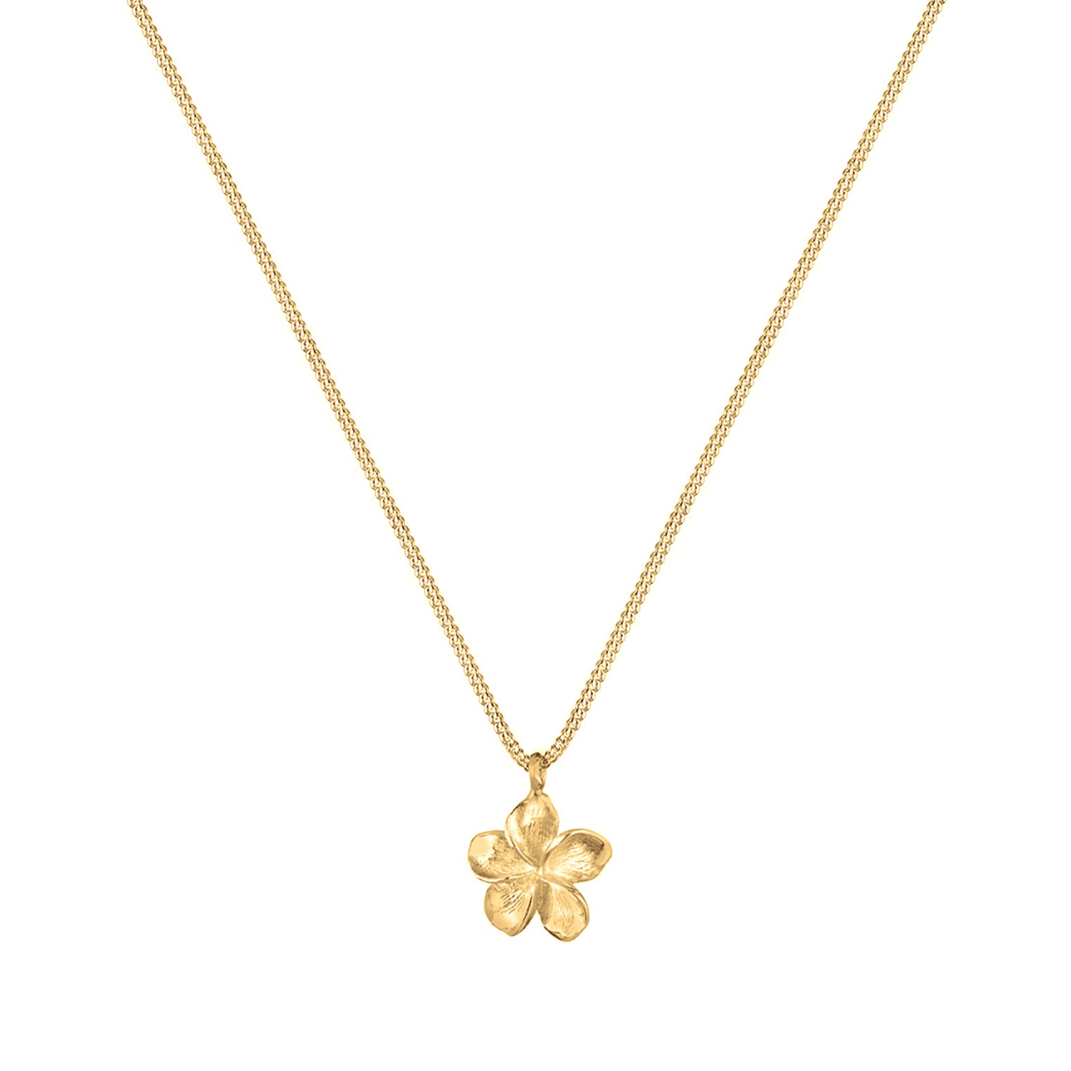 Gold Perhiasan Wanita Perak Asli - Silver Kalung  Frangipani Flower Basic Lapis Emas
