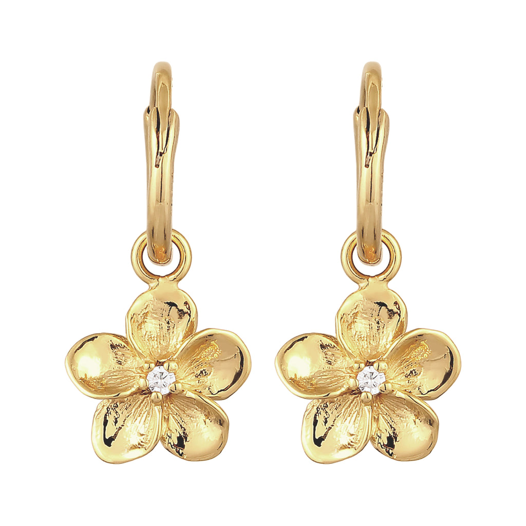 Gold Anting Perhiasan Perak 925 Wanita Creoles Frangipani Flower Zirconia Gold Plated