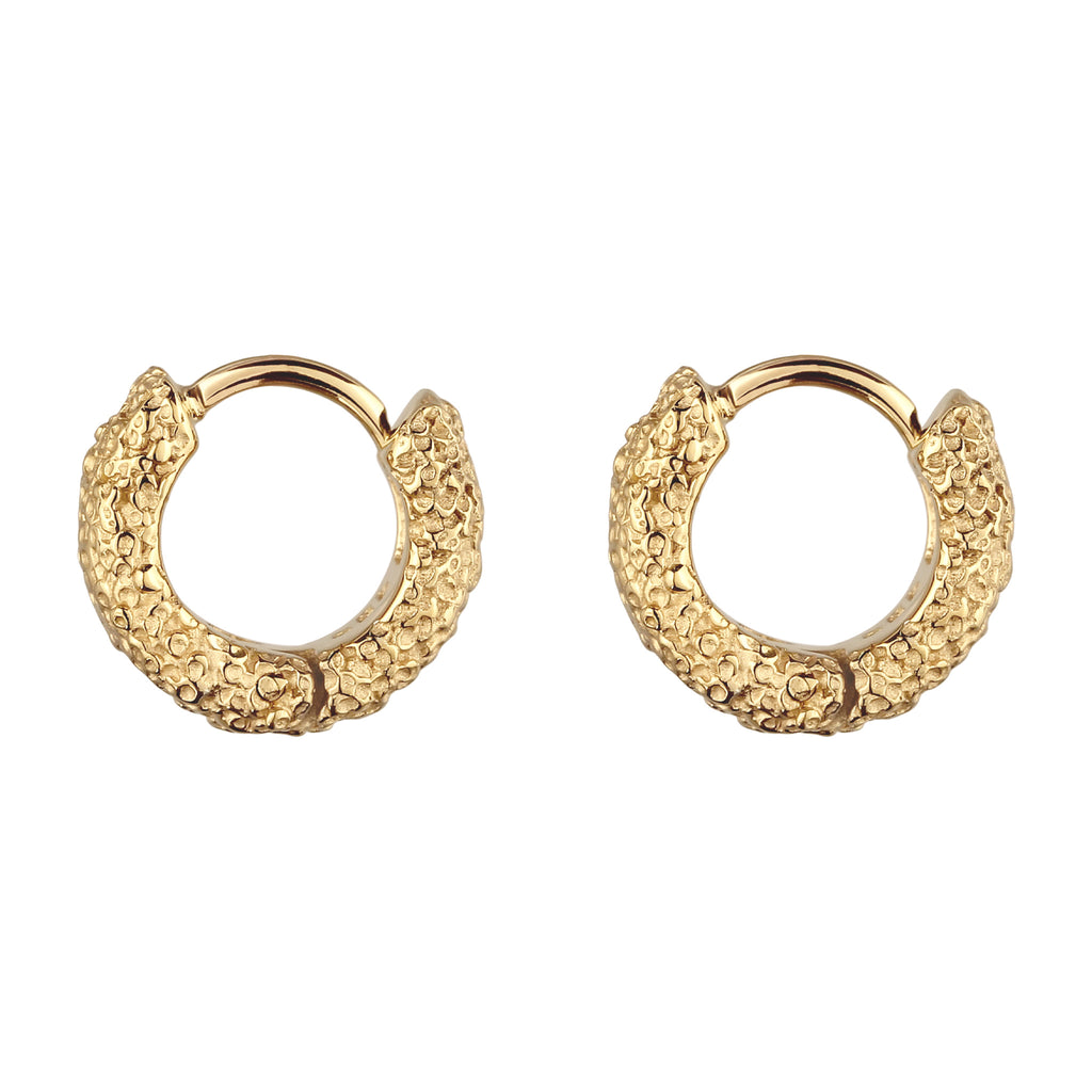 Gold Anting Perhiasan Perak 925 Wanita Creole Gold Plated