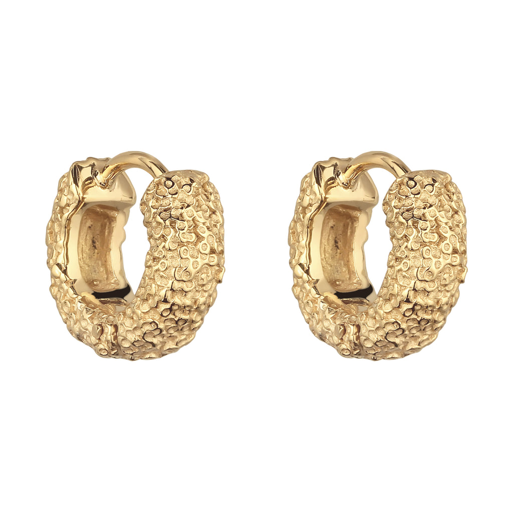 Gold Anting Perhiasan Perak 925 Wanita Creole Gold Plated