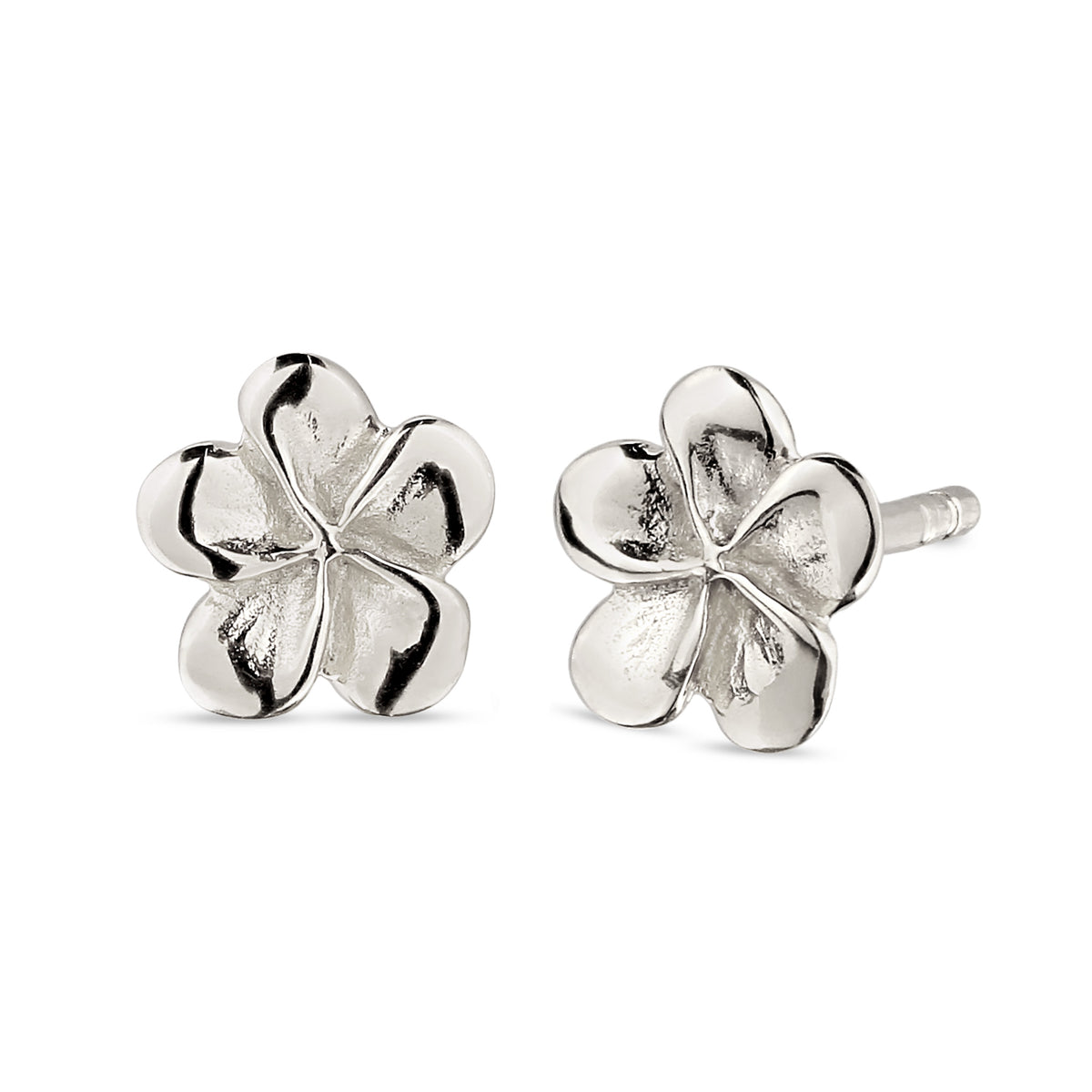 Frangipani Stud Earrings 925 Silver