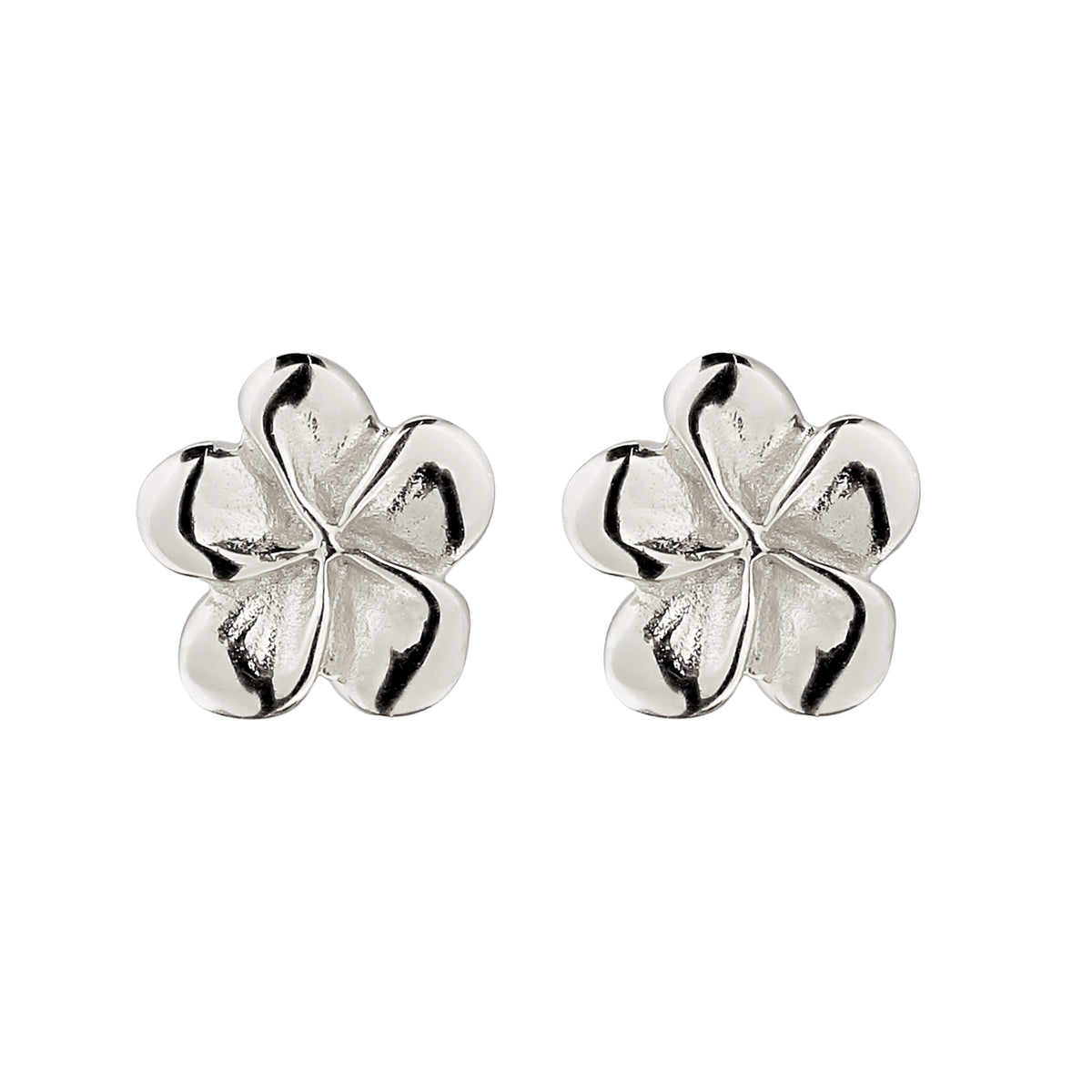 Frangipani Stud Earrings 925 Silver
