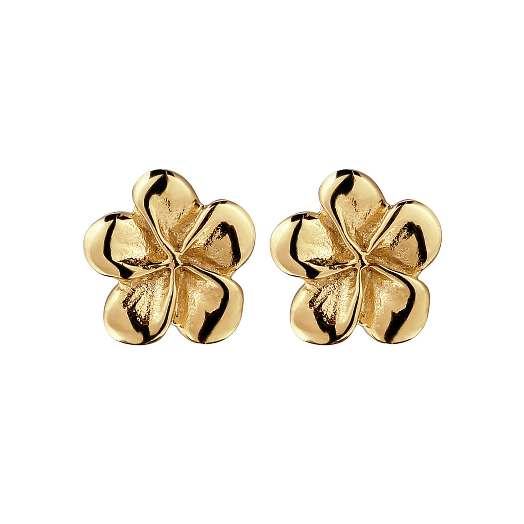 Gold Anting Perhiasan Perak 925 Wanita Frangipani